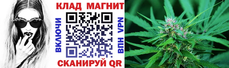 Сколько стоит Ветлуга Канабис АМФЕТАМИН ГАШИШ КОКАИН