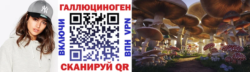 Псилоцибиновые грибы Magic Shrooms Ветлуга